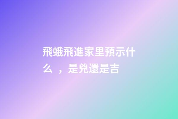 飛蛾飛進家里預示什么，是兇還是吉